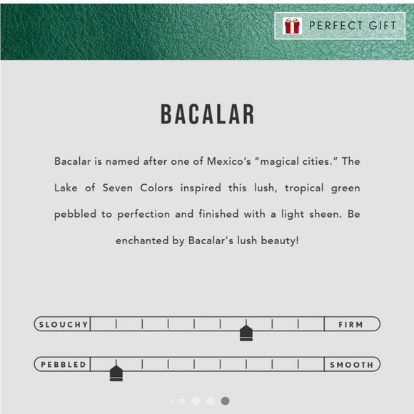 ⚡️LAST CALL⚡️Portland Leather Green Bacalar Olivia Shoulder Bag - Picture 12 of 13